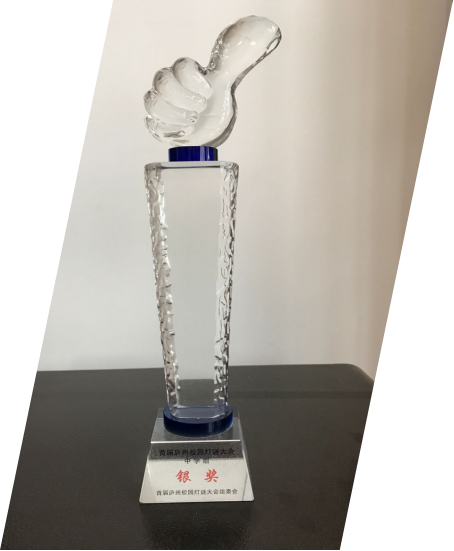 合肥市首届灯谜竞赛银奖