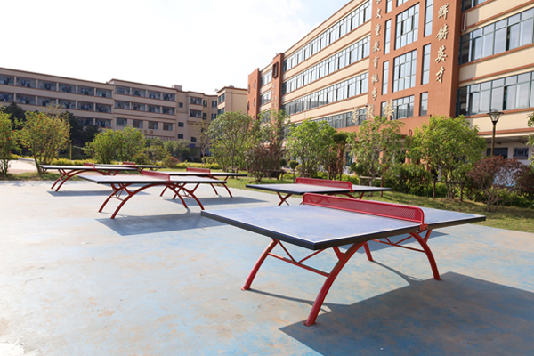 乒乓球场