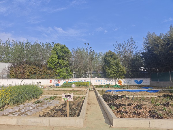 劳动教育实践园地